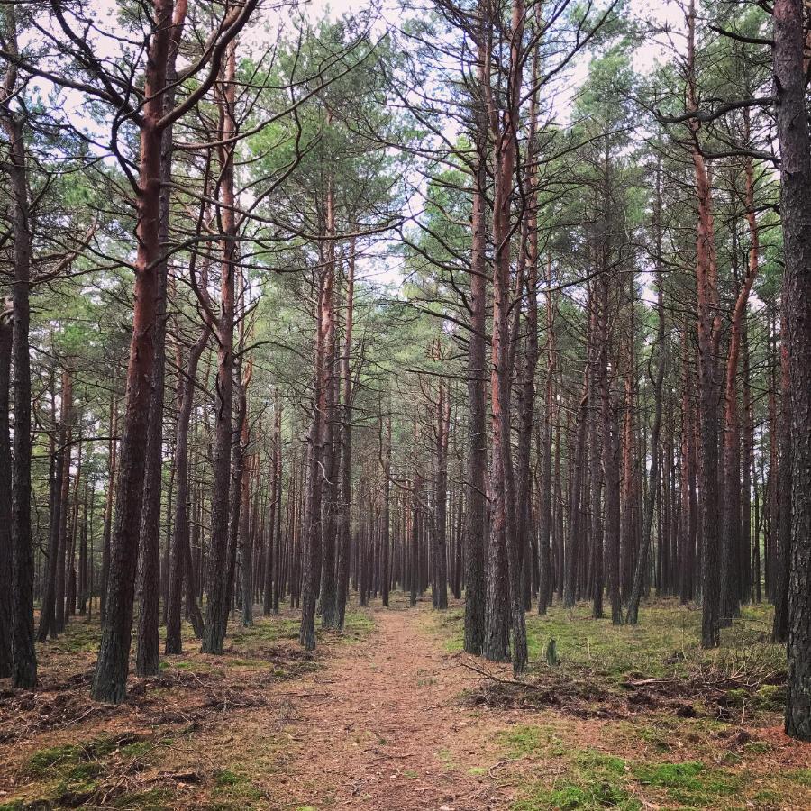 Appartamento Amber-Blue Juodkrantė Esterno foto